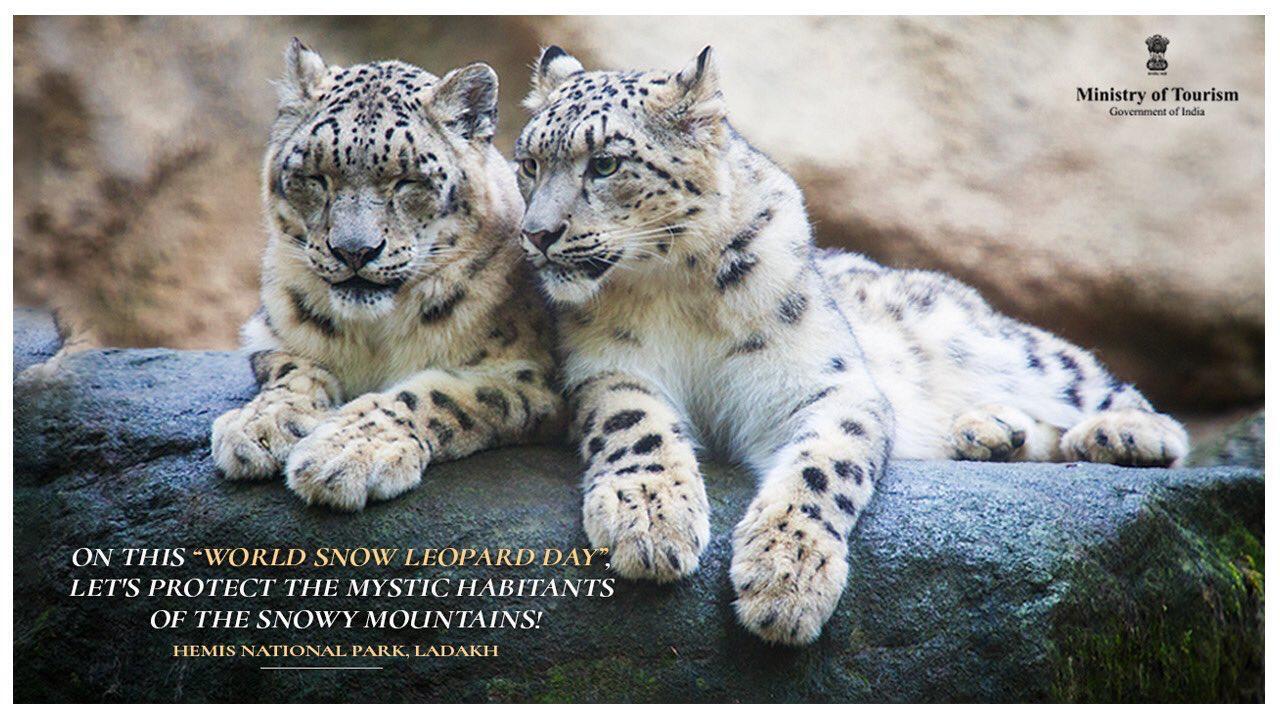 International Snow Leopard Day